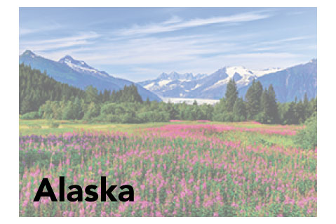 Alaska State Promotional Product Sales Data