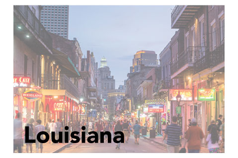 Louisiana State Promotional Product Sales Data