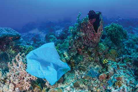 California - The State That Banned Plastic Bags