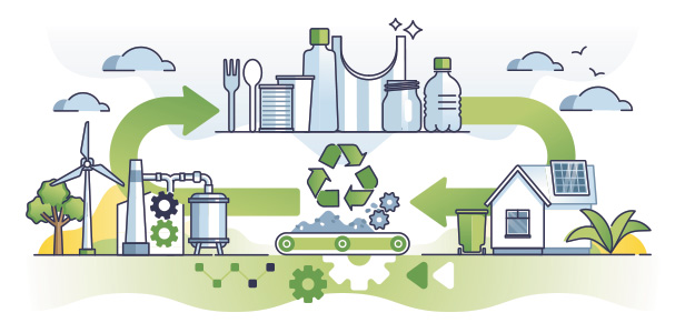 lifecycle illustration